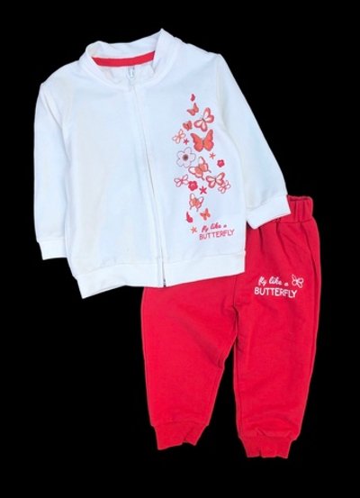 Костюм 2в1; кофта, штани "Butterfly", мікровелюр ТМ "Civil"