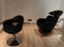 Кресло-мойка THOMAS