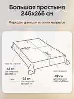 Комплект постельного белья Однотонный Сатин Элитный OCE010