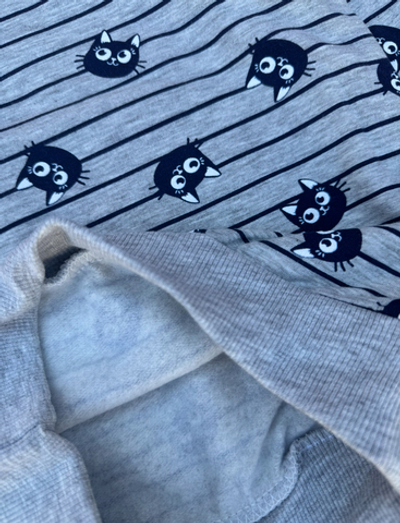 Світшот, двунитка з начосом ТМ "Hacall"