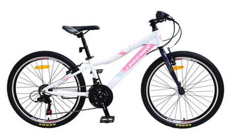 Велосипед подростковый Like2bike Viva 24" (A212404, A212405)