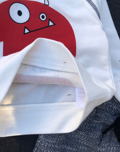 Костюм 2в1: світшот, штани, двунитка петля ТМ "Mamino"