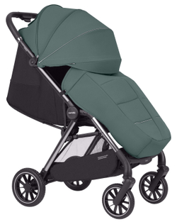 Прогулянкова коляска Carrello Delta CRL-5517