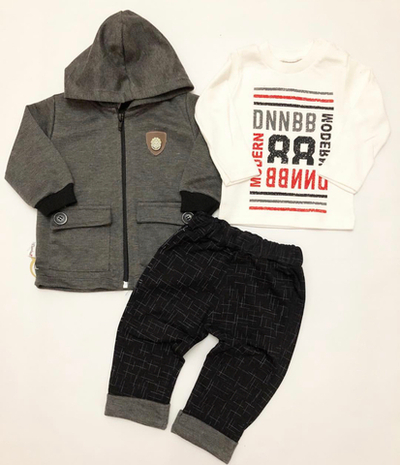 Костюм 3 в 1: кофта, штани, реглан (68 см)