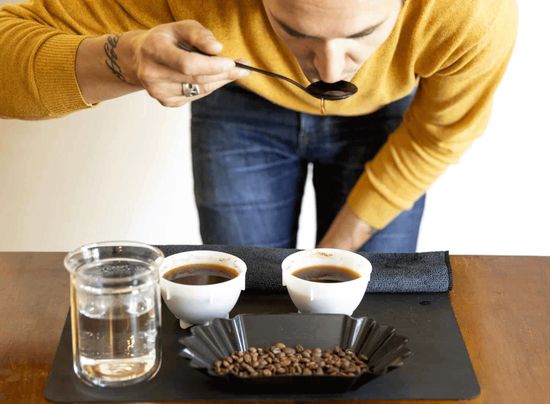 Які сполуки формують властивості кави