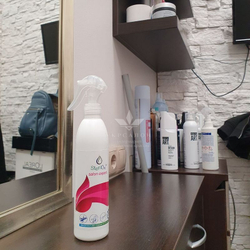 Дезинфектор органический Sterilox salon expert 250 мл (4штуки)