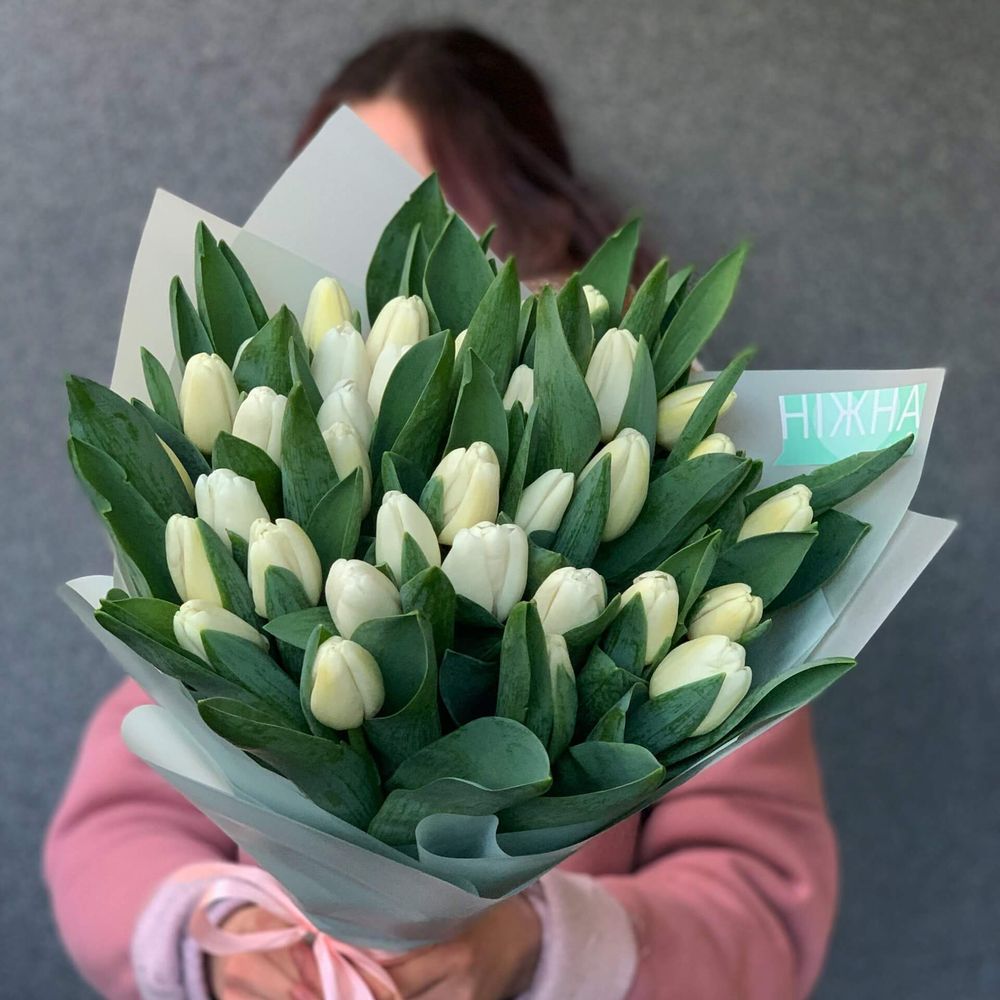 Букет з тюльпанів «Ранок», Квіти: Тюльпан білий, 35 шт.