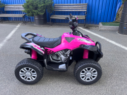 Детский электроквадроцикл "WeKids Cars"