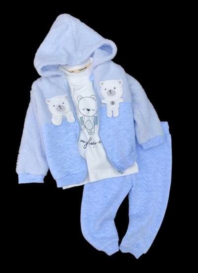 Костюм 3в1: кофта з капюшоном, штани, реглан "Bear cub", махра, капітон, бавовна ТМ "Bebezode" (86-92 см)