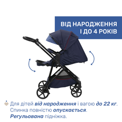 Универсальная коляска 2 в 1 Chicco Seety