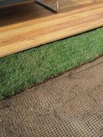 Сетка от кротов. Вольерная 1х100м. ячейка 12х14мм.