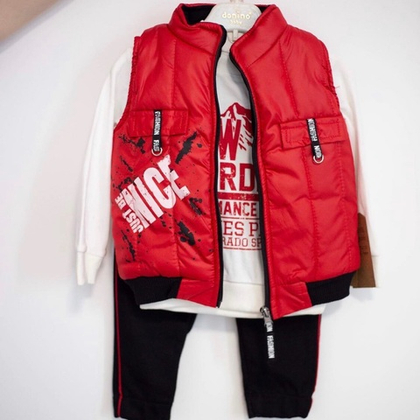 Костюм 3в1: жилетка, штани, світшот, бавовна, двунитка, плащівка "Donino" (80 см)