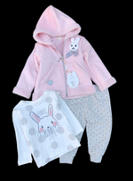 Костюм 3в1: Куртка, штани, реглан "Cute Bunny", двунитка з начосом, бавовна, махра ТМ "Sani" (74 см)
