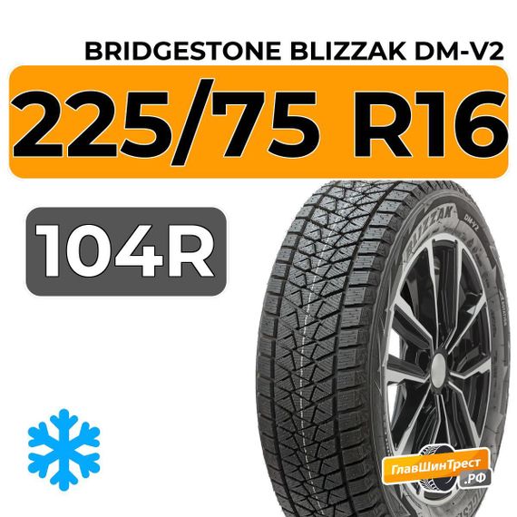 Bridgestone Blizzak DM-V2 225/75 R16 104R