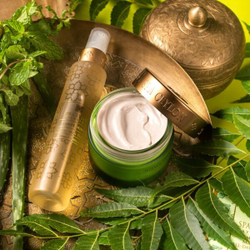 Денний крем протектор для жирної та проблемної шкіри SPF5 Маргоза та чайне дерево 100 г, SPA Ceylon