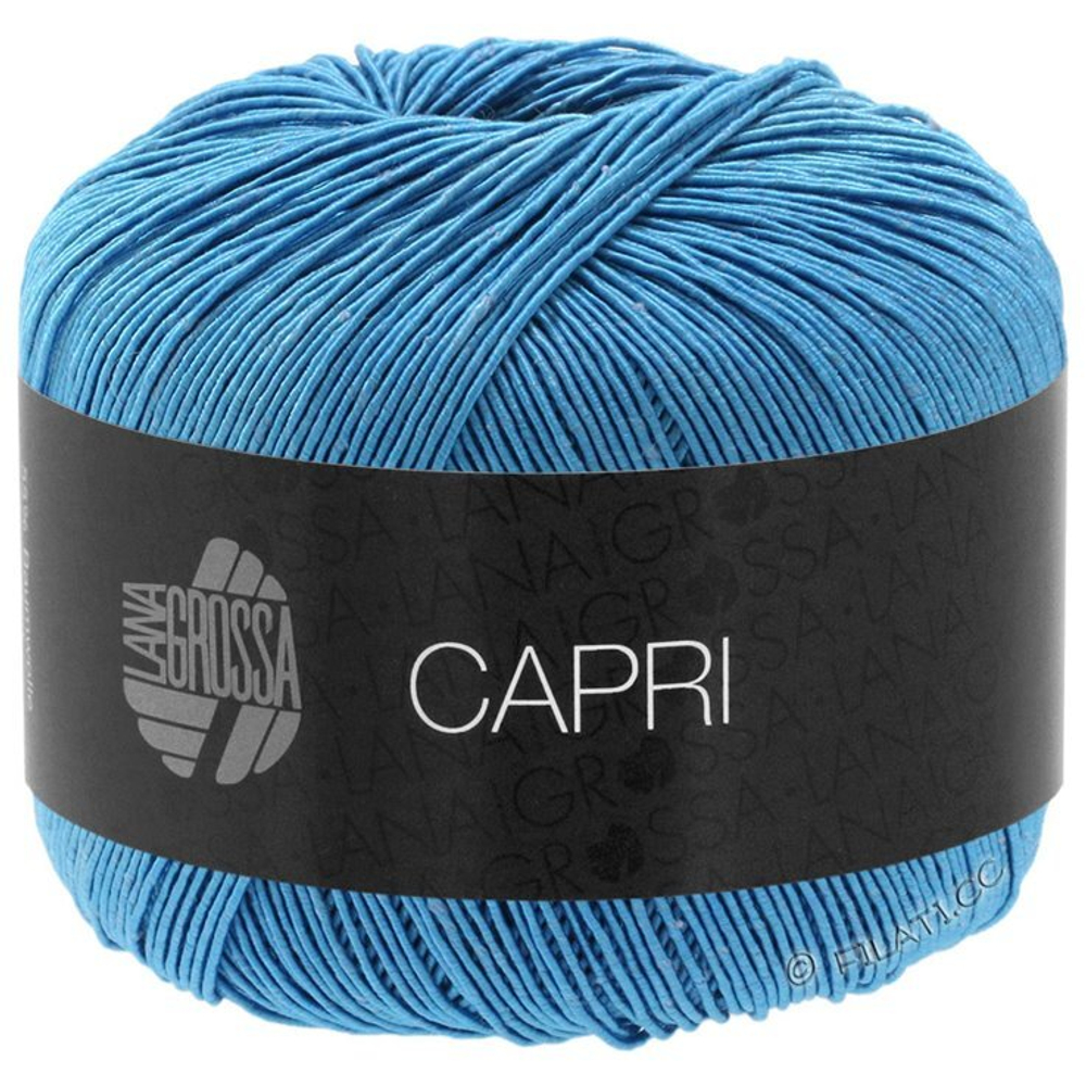 CAPRI 021