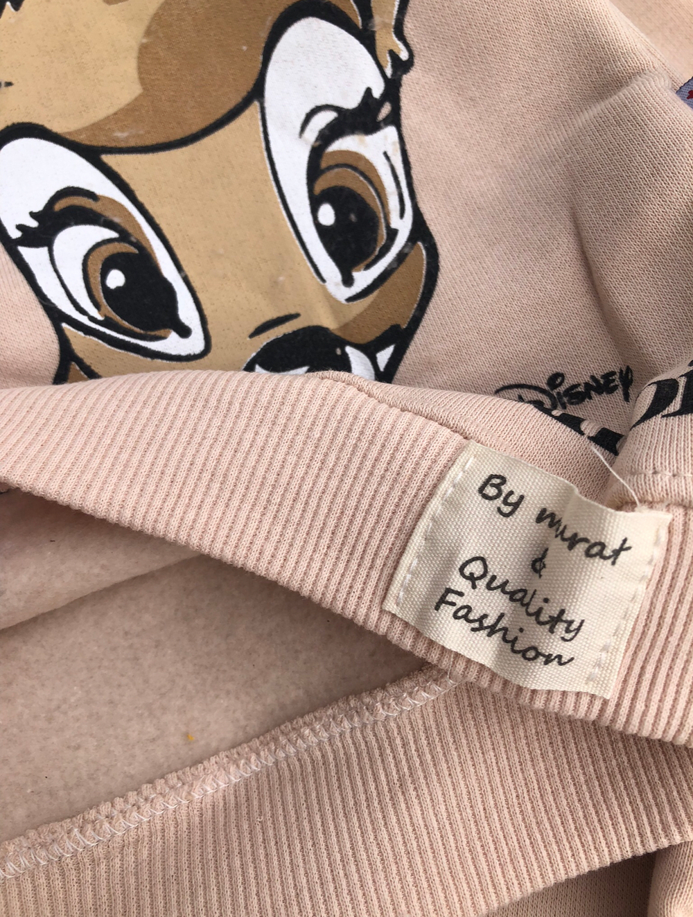 Костюм 2в1: світшот, штани "Bambi", двунитка з начосом ТМ "Murat Baby"