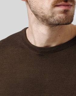 Джемпер чоловічий коричневий (арт. 7662300206)