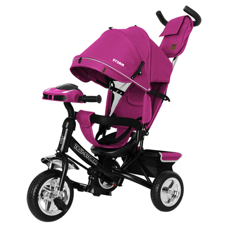 Дитячий триколісний велосипед TILLY STORM T-349/2