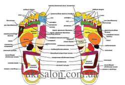 Массажер для ног Shiatsu Foot