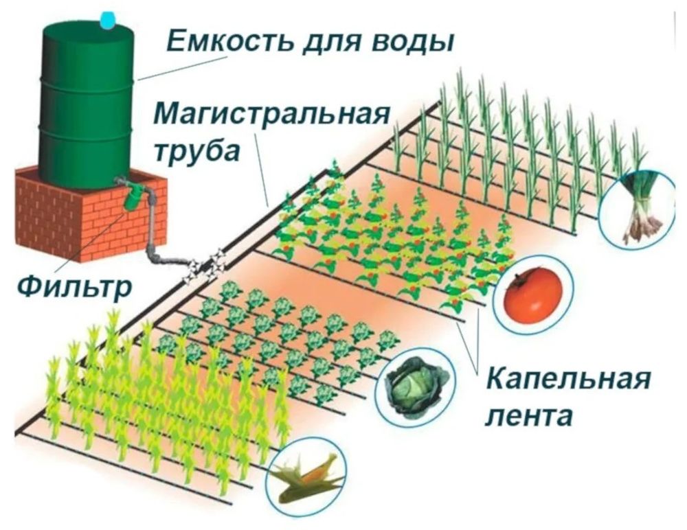 Капельная лента "Garden tools" 500м/10, 20, 30 см (Украина)