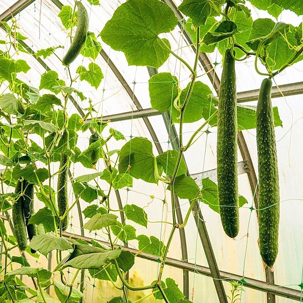 Сетка огуречная усиленная 1.7х500м. Shadow