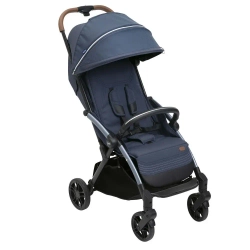Прогулочная коляска Chicco Goody XPlus