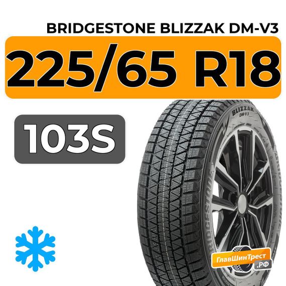Bridgestone Blizzak DM-V3 225/65 R18 103S