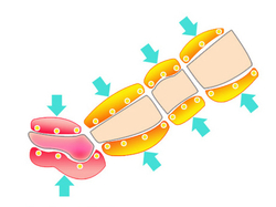 Аппарат для прессотерапии UNIX Air Relax