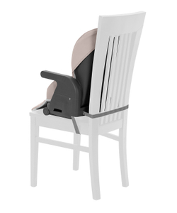Стульчик для кормления 3 в 1 Carrello Comfort CRL-9506