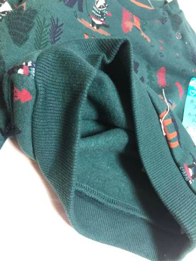 Світшот, трьохнитка з начосом ТМ "Primark" (74 см)