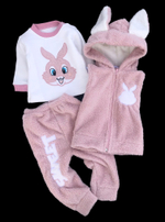 Костюм 3в1: жилетка, світшот, штани "Fun  bunny", трьохнитка з начосом, махра ТМ "Murat baby"