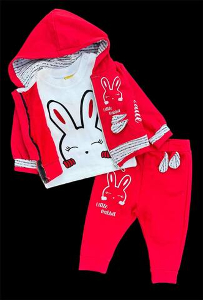 Костюм 3в1: кофта, штани, реглан "Little Rabbit", двунитка з начосом, бавовна ТМ "n-cey"