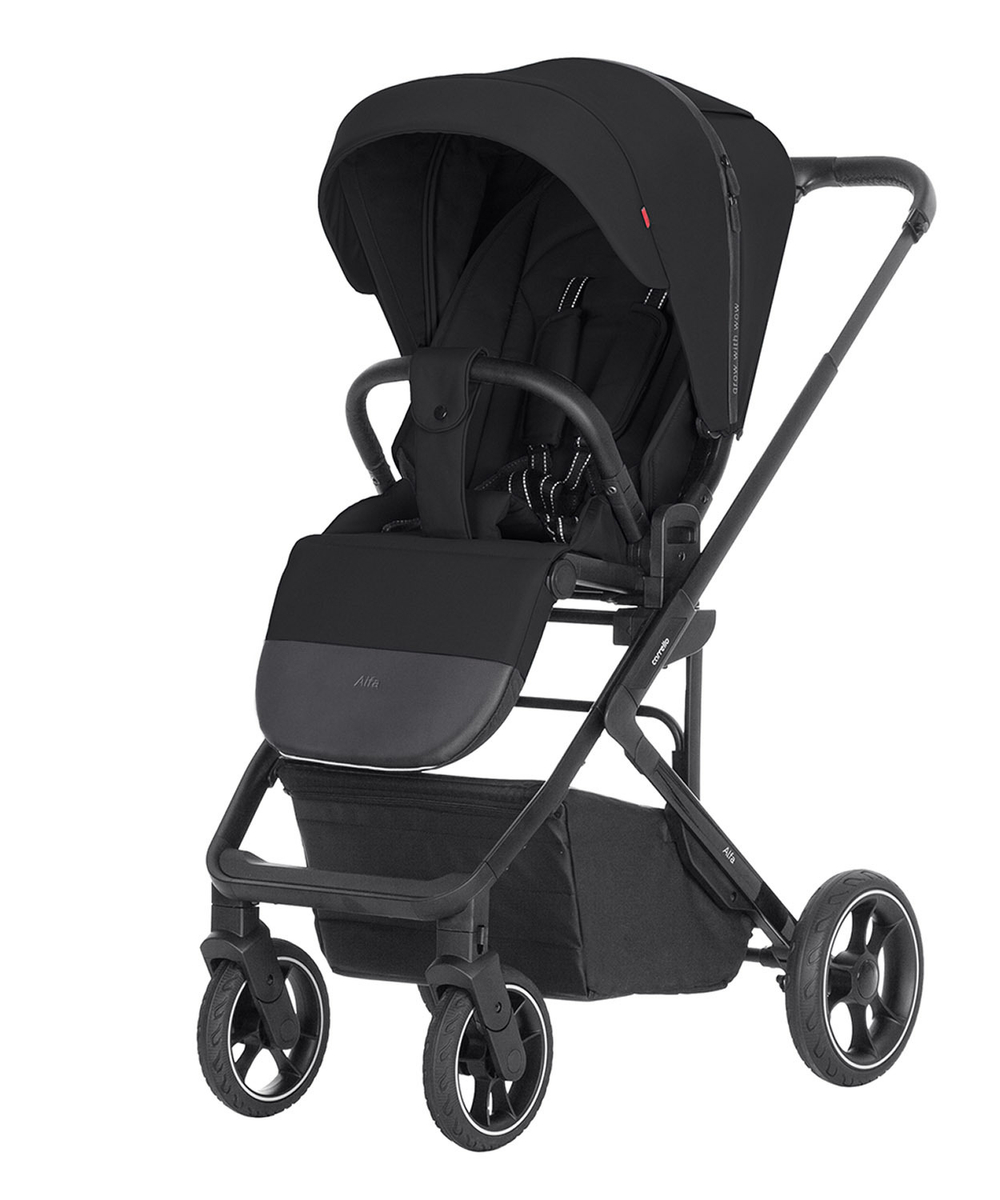 Прогулянкова коляска Carrello Alfa CRL-5508 BF