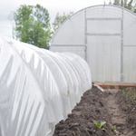 Пленка тепличная (белая), 100мкм, 3м/50м. Прозрачная (парниковая, полиэтиленовая)