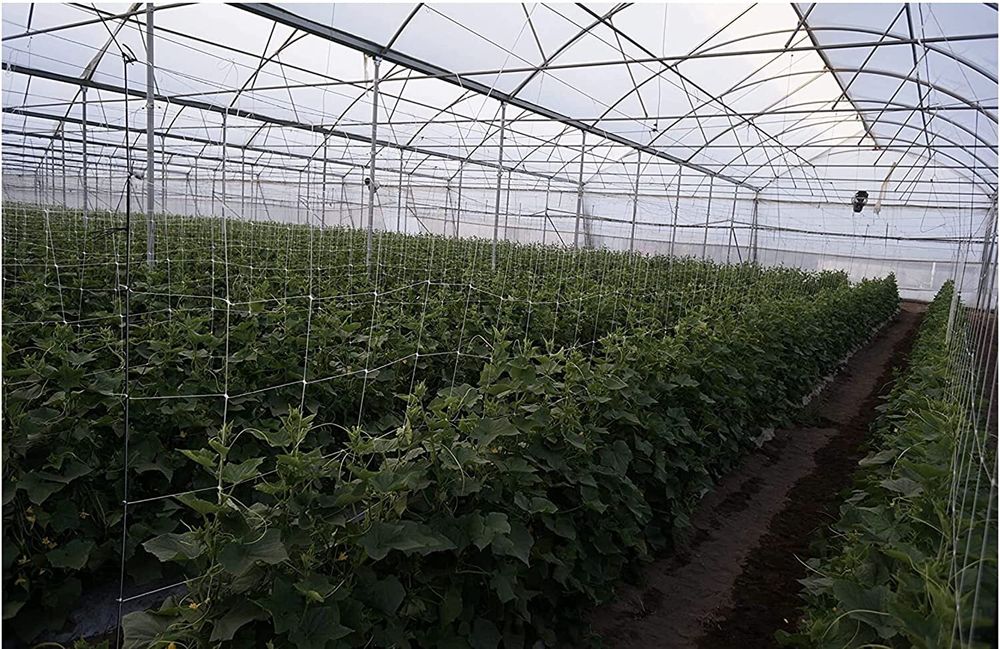 Огуречная, шпалерная сетка белая 1.7х500 м ТМ"Shadow" (Чехия)