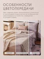 Покрывало двухстороннее Aurora Veil PAV004