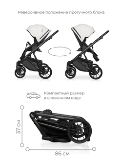 Универсальная коляска 2 в 1 Riko Montana Ecco