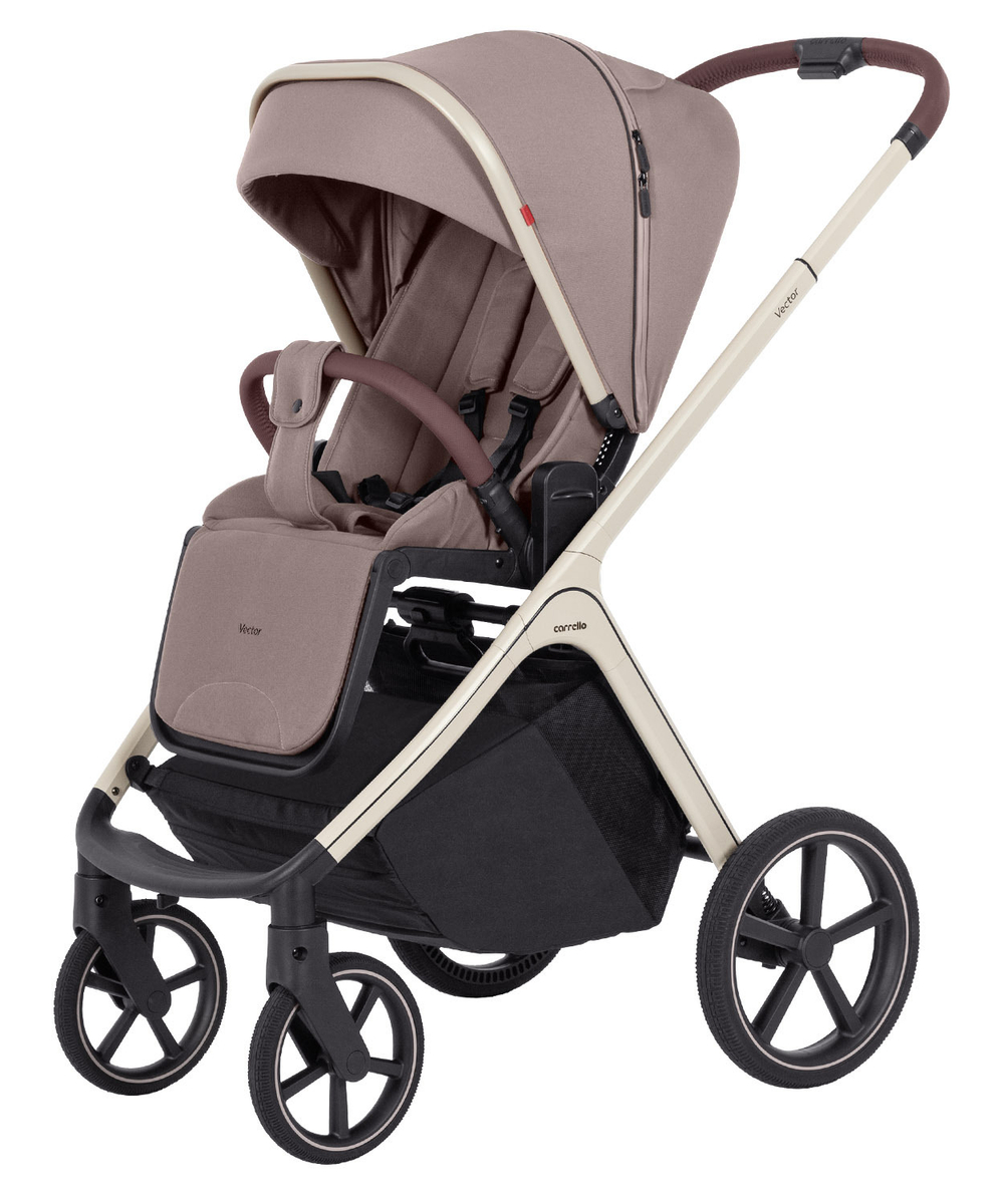 Універсальна коляска 2 в 1 Carrello Vector CRL-6550