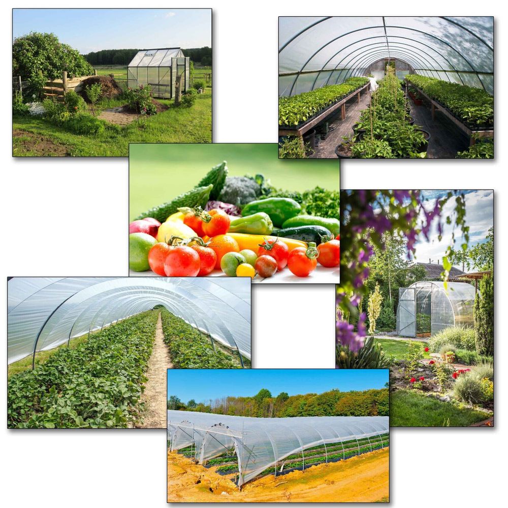 Пленка тепличная 200 мкм, 6м/50м. 24 месяца уф- стабилизатор. Зеленая.