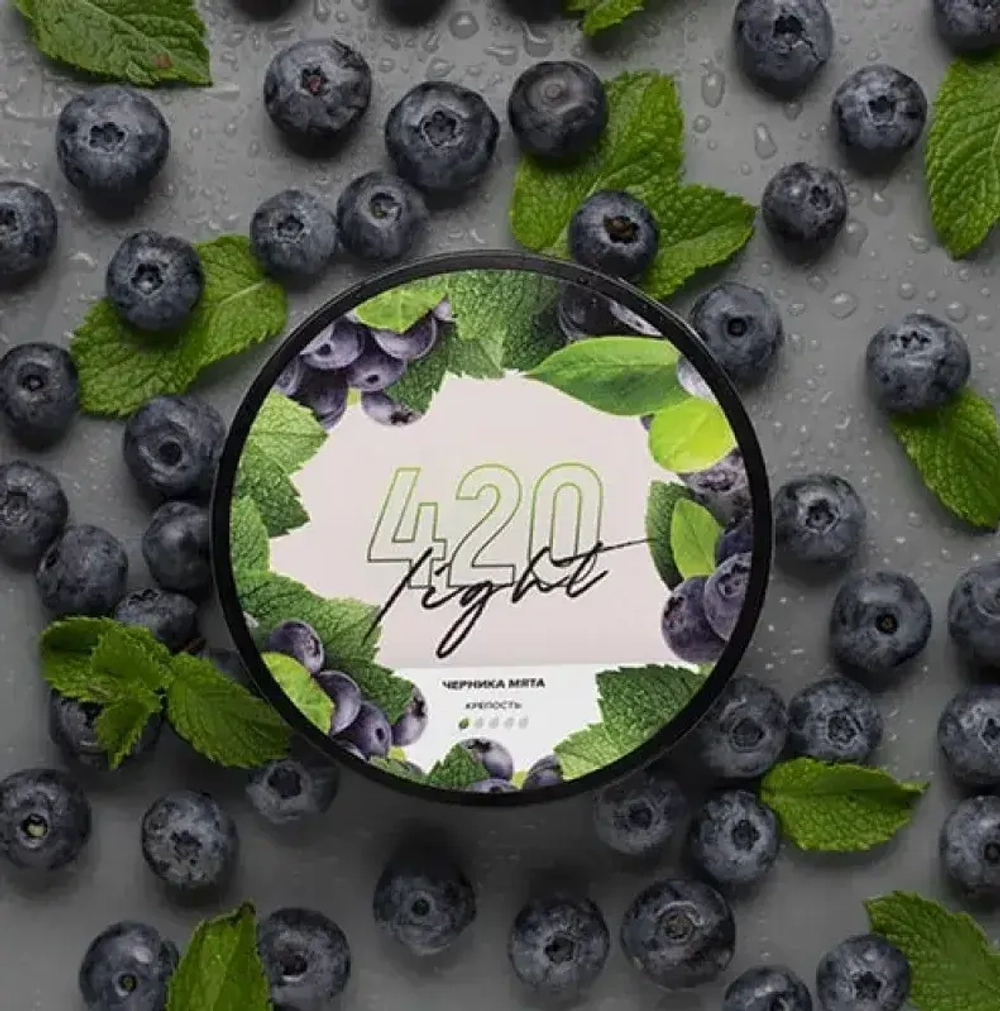 Табак 420 Light Черника Мята 100г