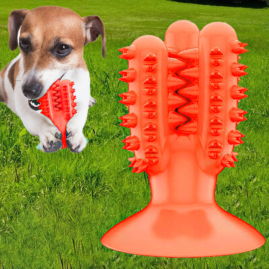 Жевательная игрушка для собак Bronzedog PetFun Dental Кактус, на присоске красная/1605/205