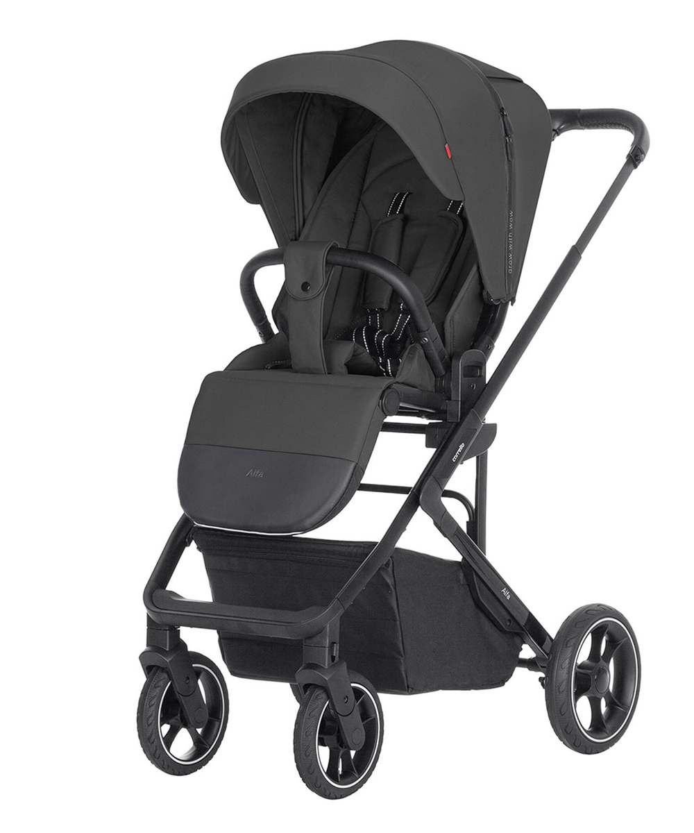 Прогулянкова коляска Carrello Alfa CRL-5508 BF