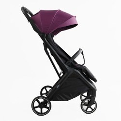 Прогулочная коляска Joy Willow