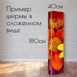 Ширма Паєтка black