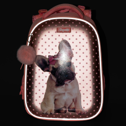Рюкзак каркасний 1Вересня H-29 Dolly Dog (арт. 559516)