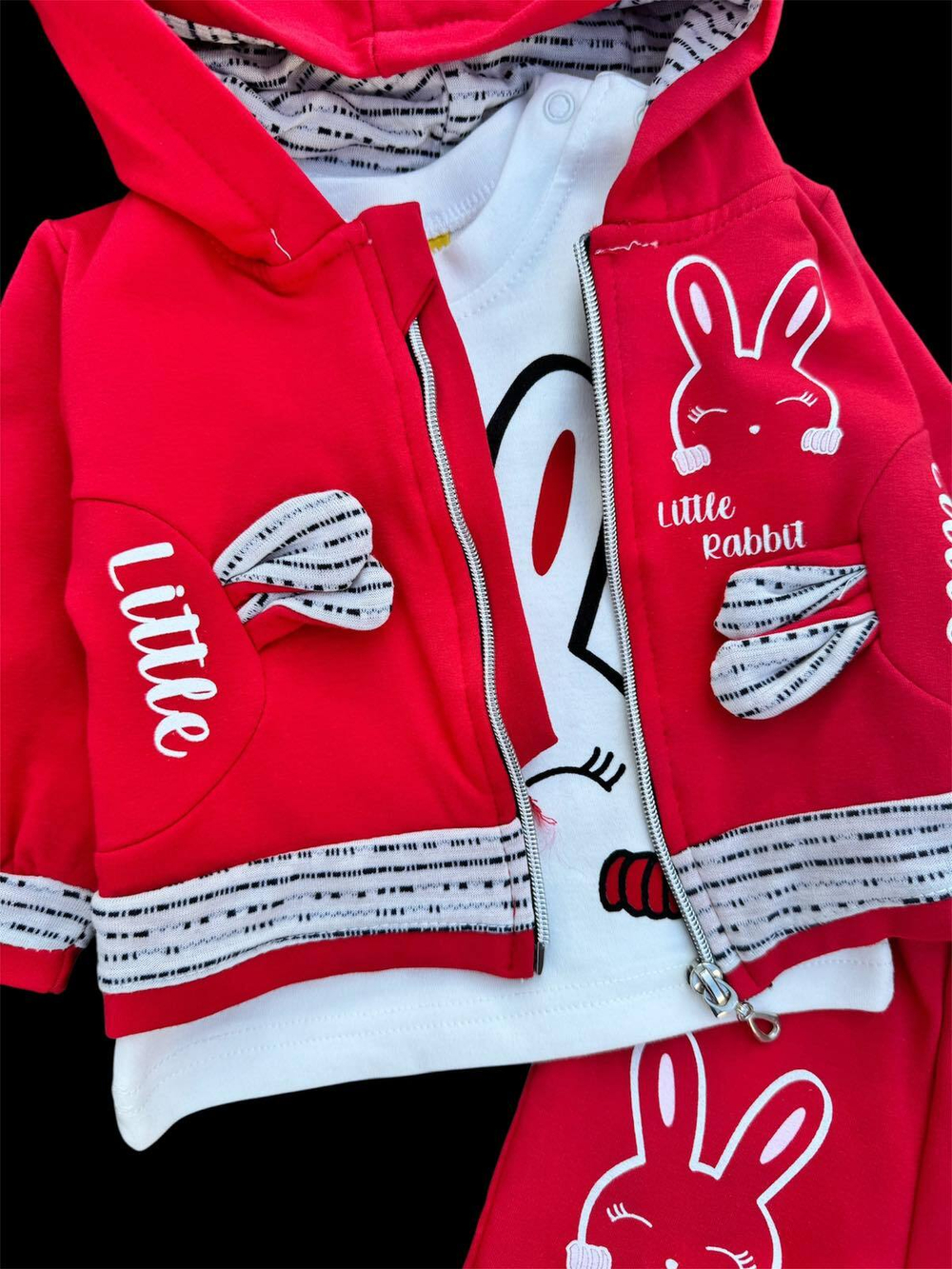 Костюм 3в1: кофта, штани, реглан "Little Rabbit", двунитка з начосом, бавовна ТМ "n-cey"