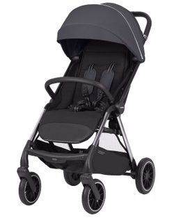 Прогулянкова коляска Carrello Delta CRL-5517
