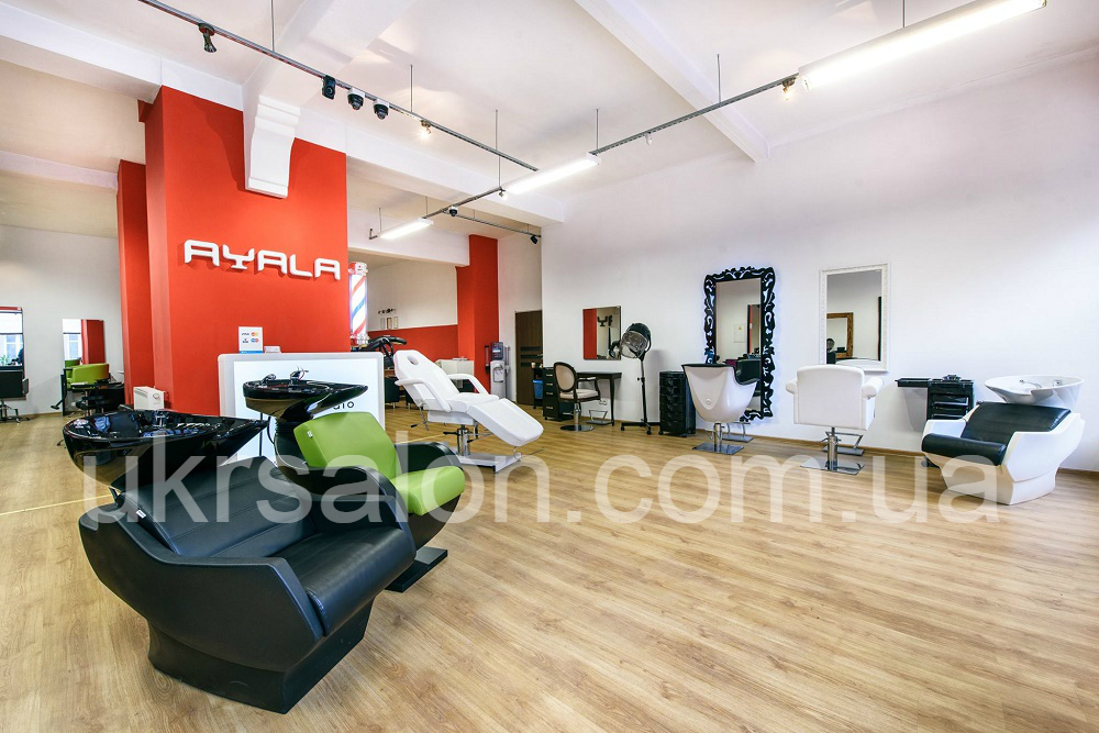 Кресло-мойка THOMAS