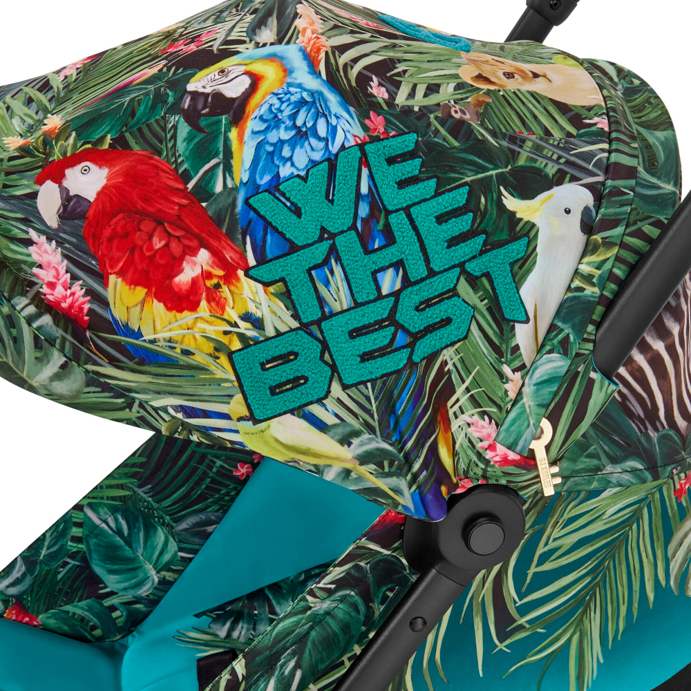 Прогулочная коляска Cybex Coya Fashion Collections